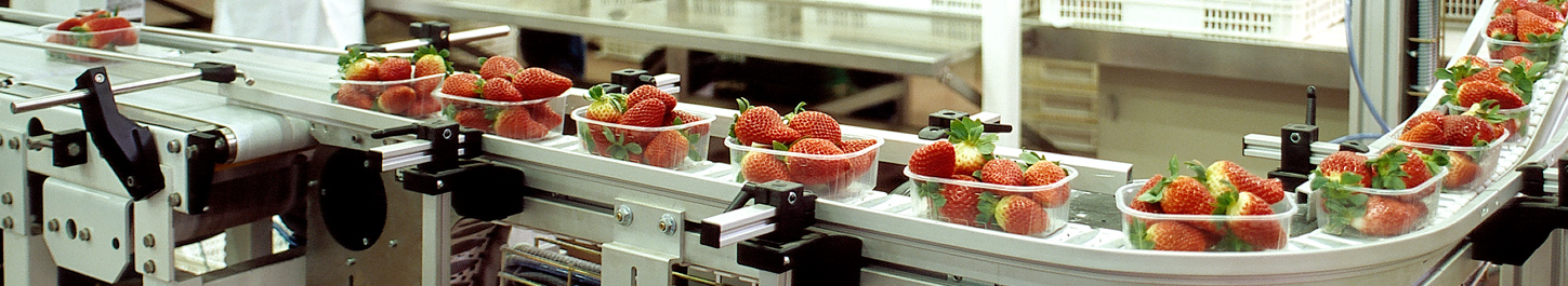 slidersectores_alimentacion