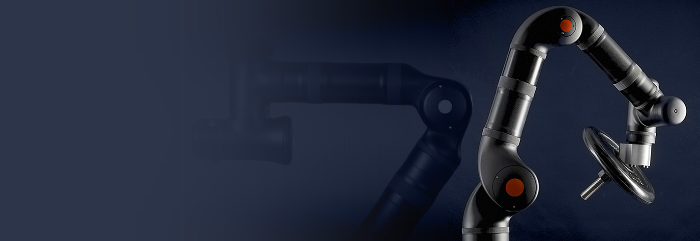 1024_1024_Kassow_Robot_02 copia